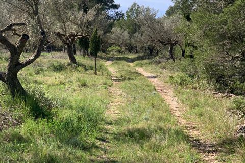 Landejendom i Tortosa, Tarragona, Tortosa - € 139.000 | Ref: Tor9079fra - foto 39